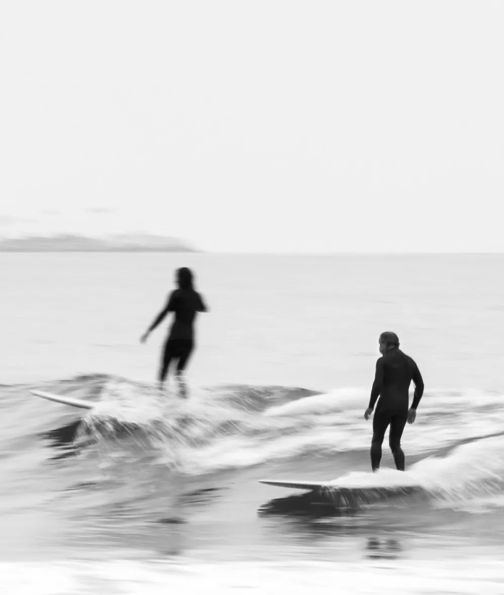 The Alexander The Alexander